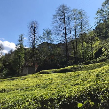 Can Butik Otel Ardesen ภายนอก รูปภาพ
