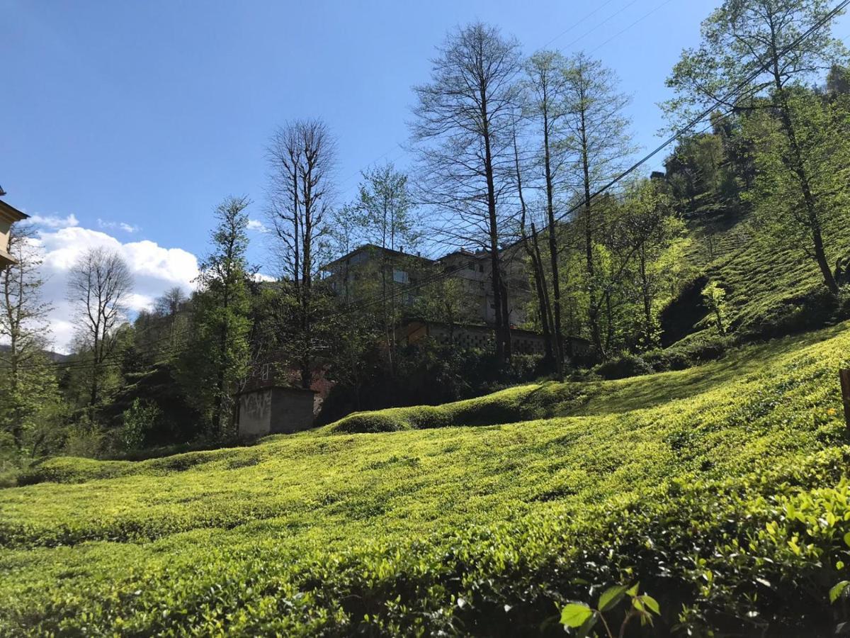 Can Butik Otel Ardesen ภายนอก รูปภาพ